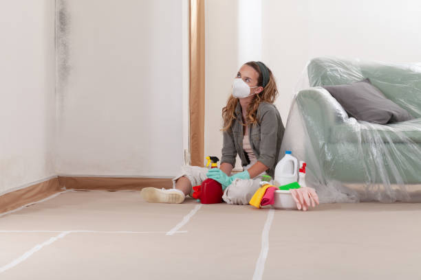 Reliable Black Mold Remediation contractor in Nicholls, GA by 24 Hour Mold Removal